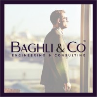 BAGHLI & Co™ logo - Similar company to Astrolabe Network