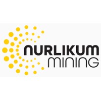 Nurlikum Mining Uzbek-French Joint Venture (ORANO Group) logo - Similar company to Triangul Metals Tebinbulak