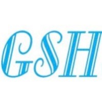 GSH Precision Technology SDN BHD logo - Similar company to Datagrasp