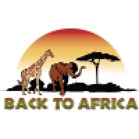Back To Africa Corp. logo - Similar company to Philippe Simo