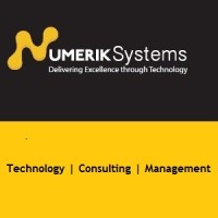 Numerik Systems logo - Similar company to Aps Consulting