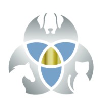 SVM Animotion inc. logo - Similar company to Flair & Cie