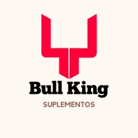 BullKing logo - Similar company to Anexgate Network Security Solution (Division Of Ssspl)