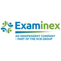 Examinex South Africa logo - Similar company to Ergo Dimension
