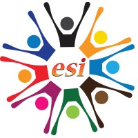 EasyStepIn logo - Similar company to Easy Data Integration