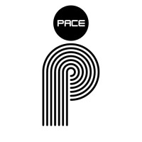 Pace Agency logo - Similar company to Think Beauty