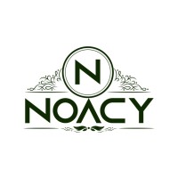 Noacy Limited logo - Similar company to Powerplayer