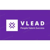 VLead Solutions logo - Similar company to Radicaln