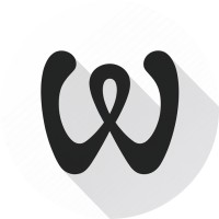 Webflower logo - Similar company to Fuzed
