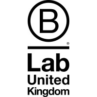 B Lab UK logo - Similar company to Lead Powerful Impact | B Corp™
