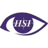 HSI Security Services Inc. logo - Similar company to Ace Technologies / Interactive Systems