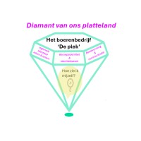 Diamant van ons Platteland logo - Similar company to Ctmh