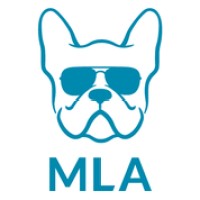 ML Academy Ltd logo - Similar company to Zanett