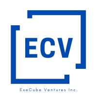 ExeCube Ventures Inc. logo - Similar company to Luxe Aesthetics