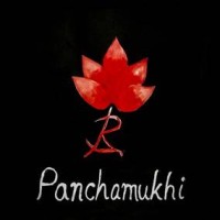 Panchamukhi Hotel logo - Similar company to Nutriburp