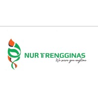 PT. Nur Trengginas Sembada logo - Similar company to Partner Hvacr Id