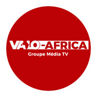 Valo Africa logo - Similar company to Mendis