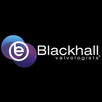 Blackhall Engineering Limited logo - Similar company to Hvl Solutions Limited Utilities & Infrastructure Services