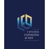 LEO EXPERTISE logo - Similar company to Apsis Audit