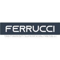 Ferrucci | Trattamenti Superficiali Metalli logo - Similar company to Siabs Srl