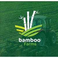 Rave and Mai Global Limited (Bamboo Farms Naija) logo - Similar company to Africa Teen Tech Festival