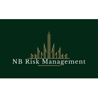 NB Risk Management logo - Similar company to Solsbury Private Equity
