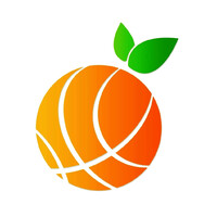 Florida Basketball Association
