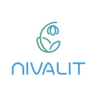 Nivalit logo - Similar company to Ponto Do Nerd