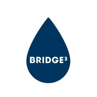 Bridge³