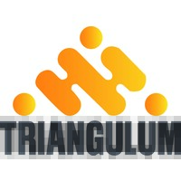 TRIANGULUM BPO S.A.S logo - Similar company to Inteegra