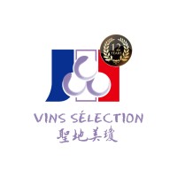 Vins Selection logo - Similar company to Chateau Bole