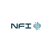 Next Frontier Intelligence logo - Similar company to Victoria Falls Technology