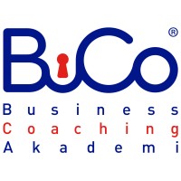 BuCo Akademi Danışmanlık A.Ş. logo - Similar company to Ancakademi̇