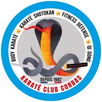 KARATE CLUB CORBAS logo - Similar company to Strength To Endure Performance Coaching Llc