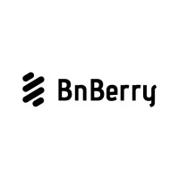 BnBerry logo - Similar company to Peakmetrics