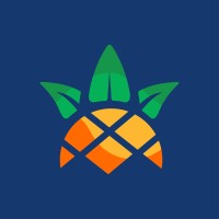 ANANAS logo - Similar company to Tinopia