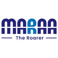 DigiMaraa Technologies logo - Similar company to Czend