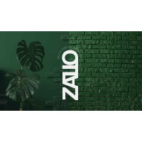 Zalto Digital Branding logo - Similar company to Afya Foods