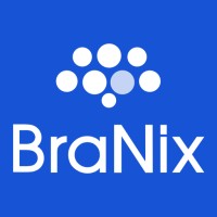 Branix logo - Similar company to Redigan/Eys