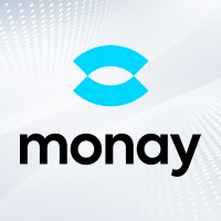 Monay logo - Similar company to Mta Team