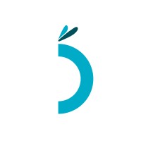 The Dragonfly Agency Ltd | B-Corp Certified logo - Similar company to Union Direct