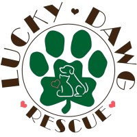 Lucky Dawg Animal Rescue logo - Similar company to Main Line Animal Rescue (Mlar)