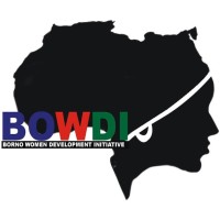 Bridge For Women Development Initiative logo - Similar company to Stone Age Entertainment