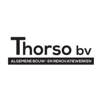 Thorso bv logo - Similar company to Gaudium