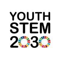 Youth STEM 2030 logo - Similar company to Stem Fellowship