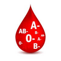 Blood Transfusion Service logo - Similar company to British Blood Transfusion Society