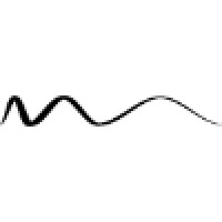 Luz WaveLabs logo - Similar company to Technidrone