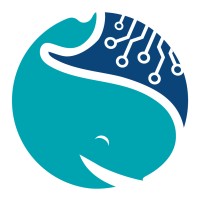 White Whales