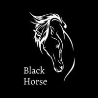 Black Horse logo - Similar company to Techo Digital