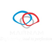 Magnam Netlink Private Limited logo - Similar company to Raj Engineering Services